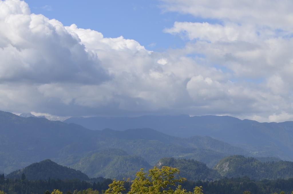 Grajski Dvor Radovljica Extérieur photo