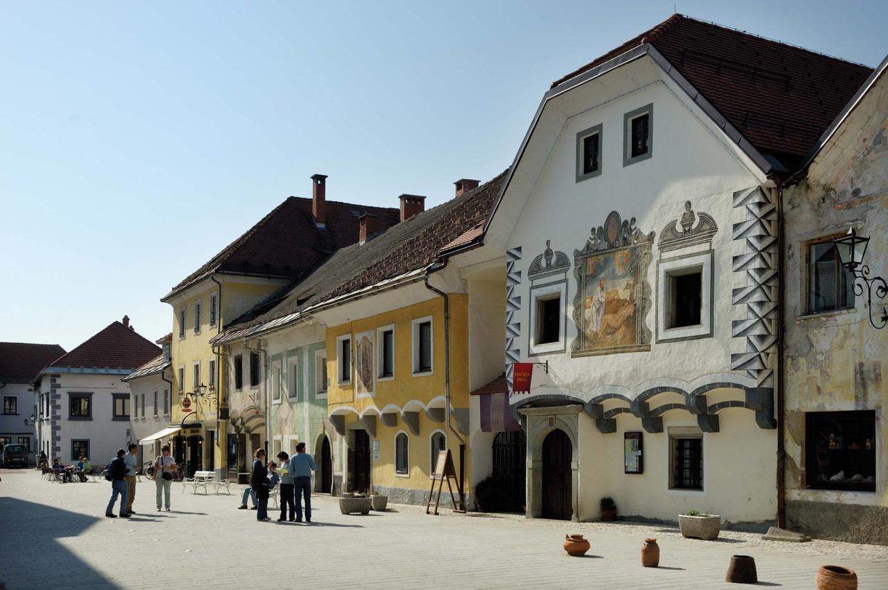 Grajski Dvor Radovljica Extérieur photo